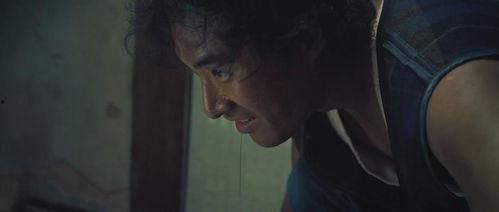 金福南杀人事件始末,揭开家庭悲剧的黑暗面