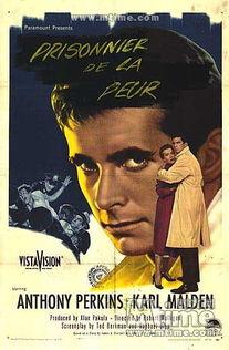 孺子雄心,少年领袖的崛起之路