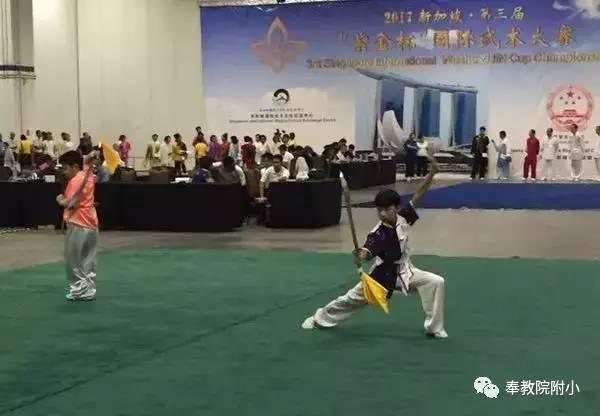 功夫小子闯佛山,少年英雄的传奇征程